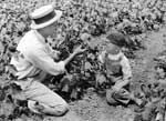 This image shows a man and child in a field.