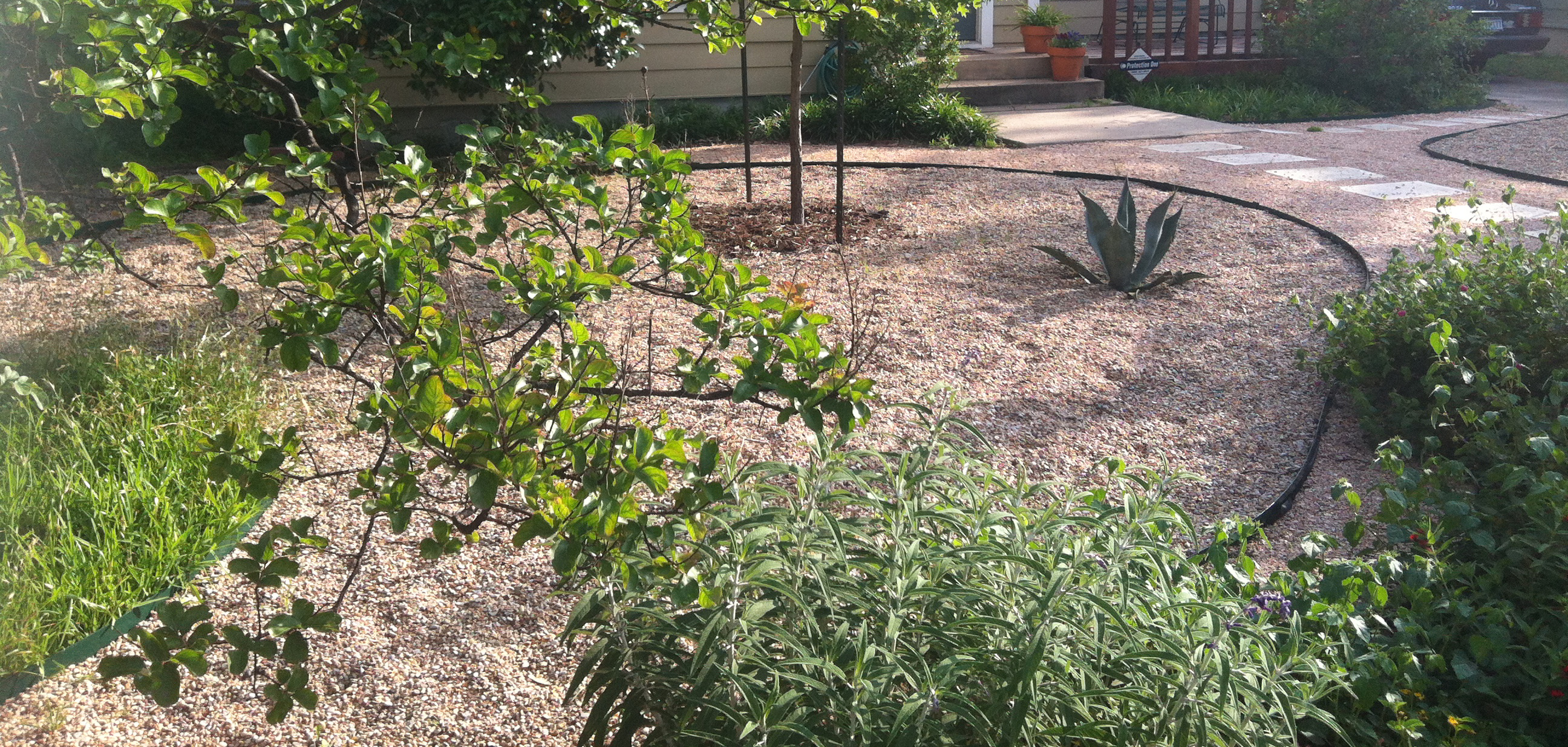 A yard landscaped without grass.