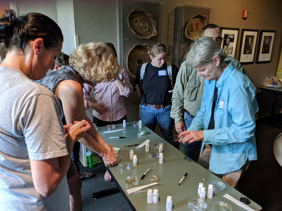 Small group of people testing water. 