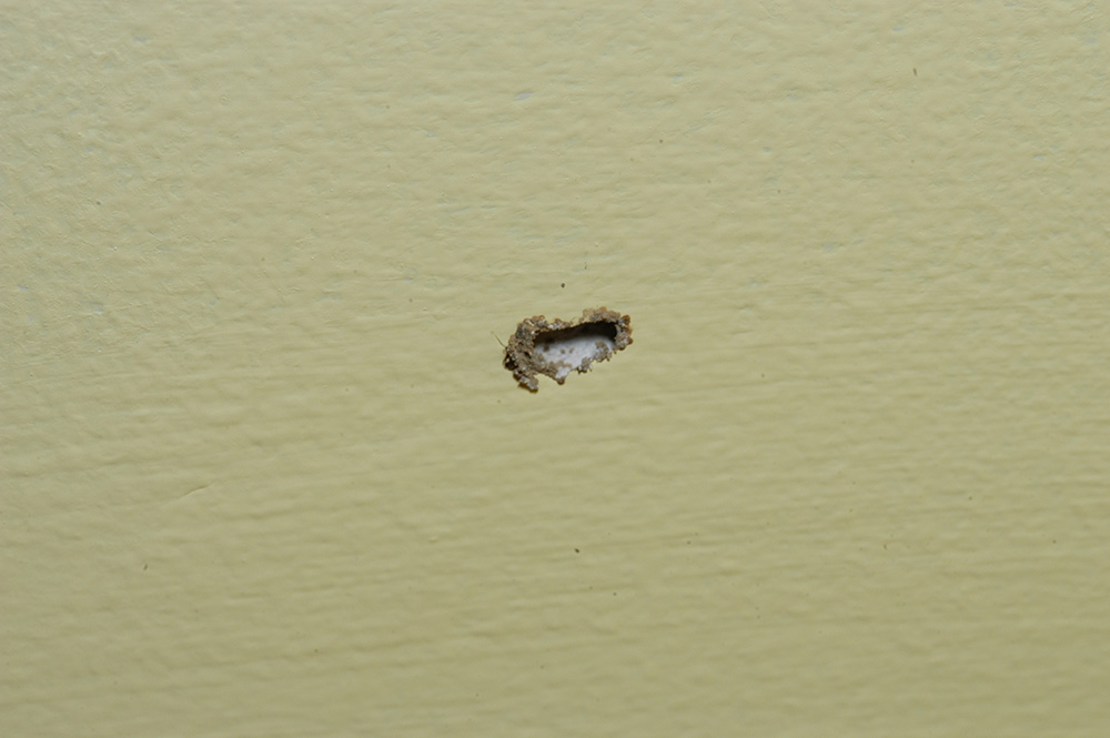 The spots of dried mud on the edge of this 2x4 are termite “pinholes.”   